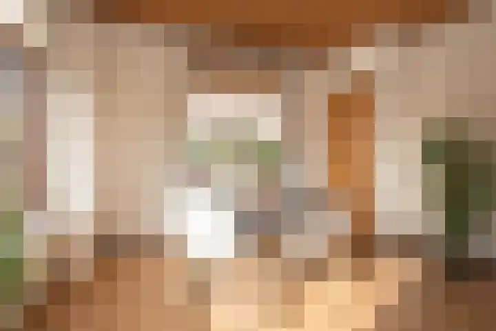 Over den Dries 33 Nistelrode thumbnail 21