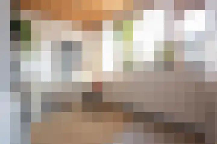 Over den Dries 33 Nistelrode thumbnail 24