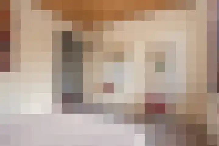 Over den Dries 33 Nistelrode thumbnail 30