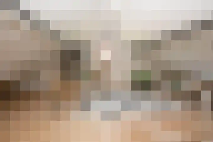 Over den Dries 33 Nistelrode thumbnail 38