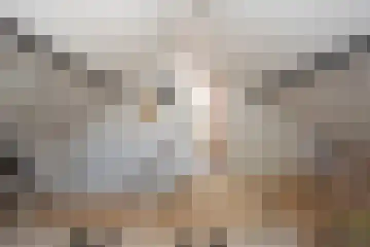 Over den Dries 33 Nistelrode thumbnail 39