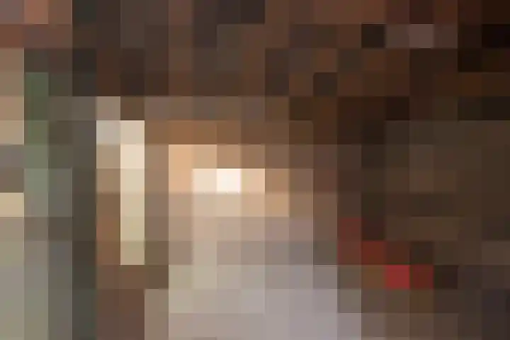 Over den Dries 33 Nistelrode thumbnail 43