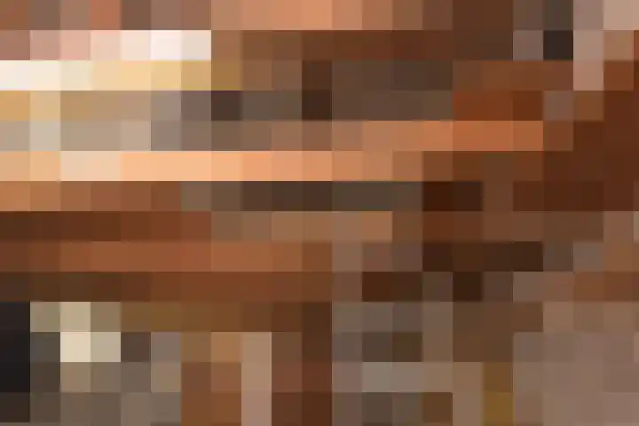 Over den Dries 33 Nistelrode thumbnail 44