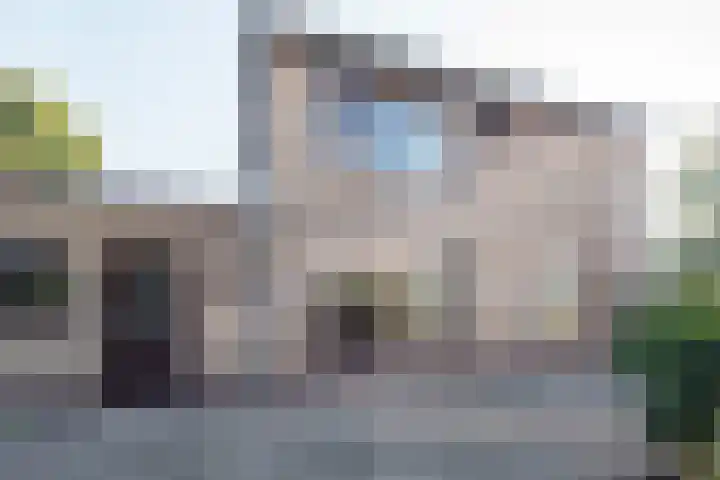 Over den Dries 33 Nistelrode thumbnail 45
