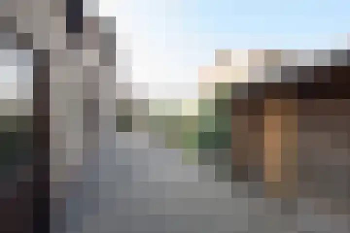 Over den Dries 33 Nistelrode thumbnail 46