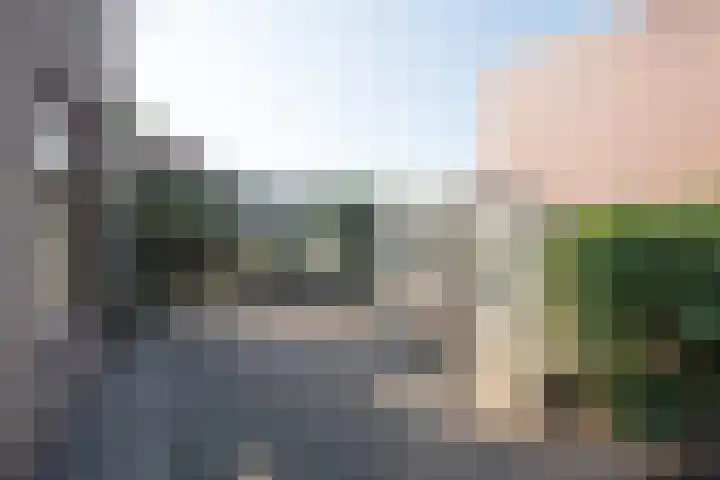 Over den Dries 33 Nistelrode thumbnail 47