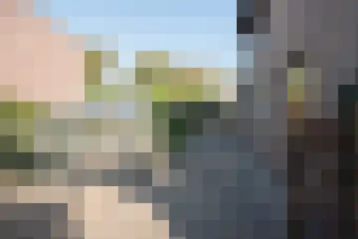 Over den Dries 33 Nistelrode thumbnail 49