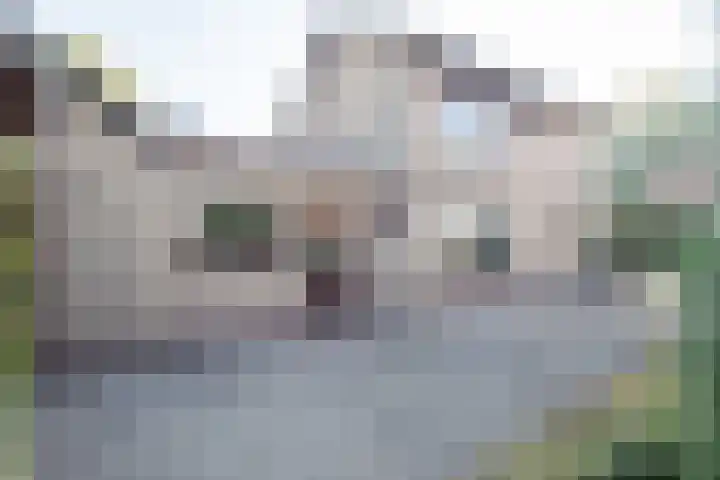 Over den Dries 33 Nistelrode thumbnail 5