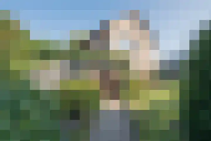 Over den Dries 33 Nistelrode thumbnail 50