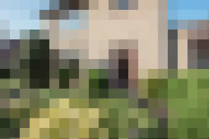 Over den Dries 33 Nistelrode thumbnail 52