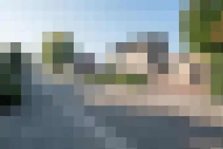Over den Dries 33 Nistelrode thumbnail 54