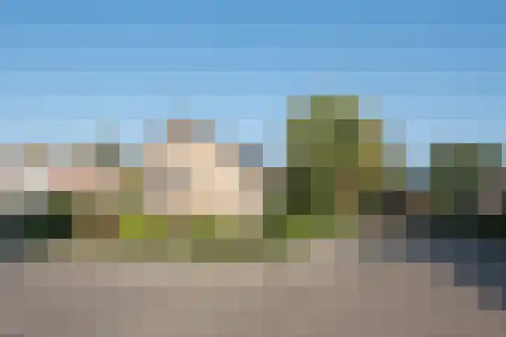 Over den Dries 33 Nistelrode thumbnail 57