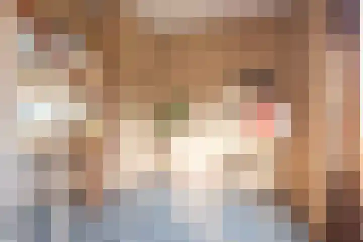 Over den Dries 33 Nistelrode thumbnail 9