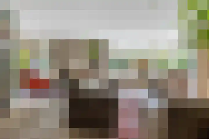 Over den Dries 35 Nistelrode thumbnail 10