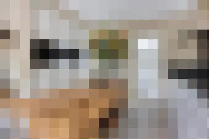 Over den Dries 35 Nistelrode thumbnail 15