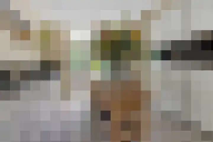 Over den Dries 35 Nistelrode thumbnail 16