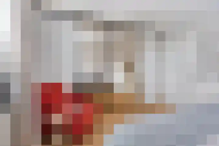 Over den Dries 35 Nistelrode thumbnail 37