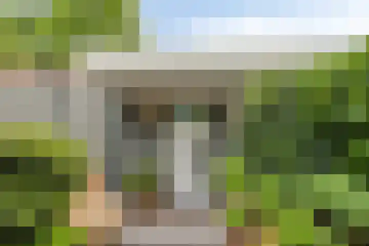 Over den Dries 35 Nistelrode thumbnail 4