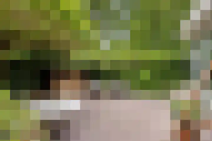 Over den Dries 35 Nistelrode thumbnail 44