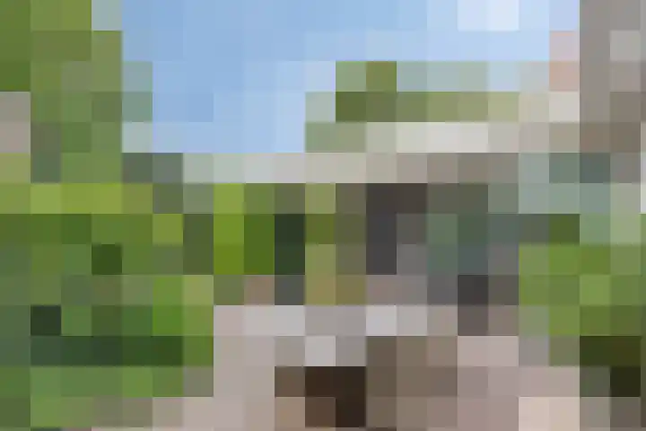 Over den Dries 35 Nistelrode thumbnail 47
