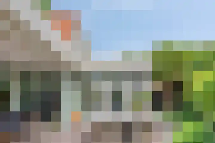 Over den Dries 35 Nistelrode thumbnail 48