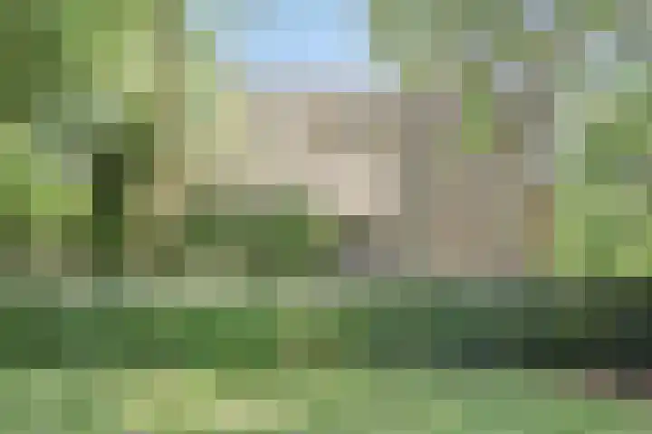 Over den Dries 35 Nistelrode thumbnail 52