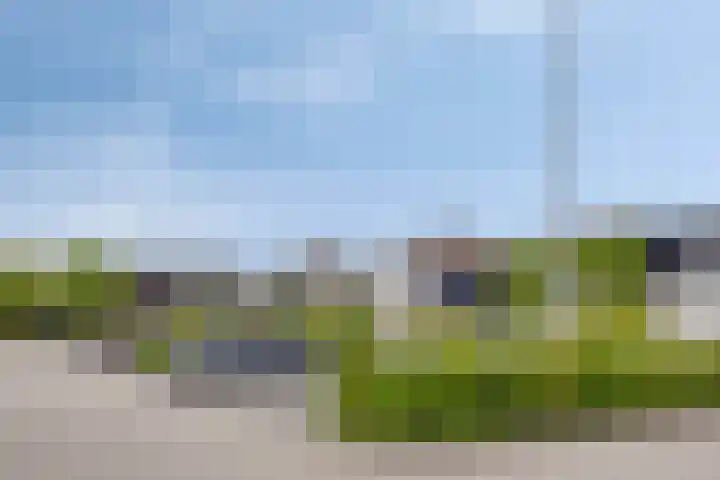 Over den Dries 35 Nistelrode thumbnail 56