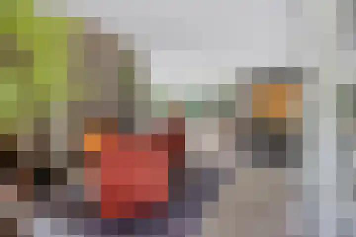 Over den Dries 35 Nistelrode thumbnail 7