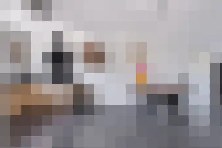 Over 't Set 8 St.-Annaparochie thumbnail 22