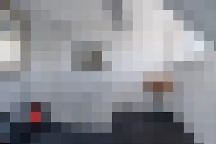 Over 't Set 8 St.-Annaparochie thumbnail 37
