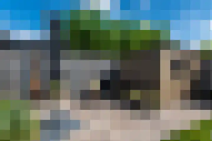 Over 't Set 8 St.-Annaparochie thumbnail 51