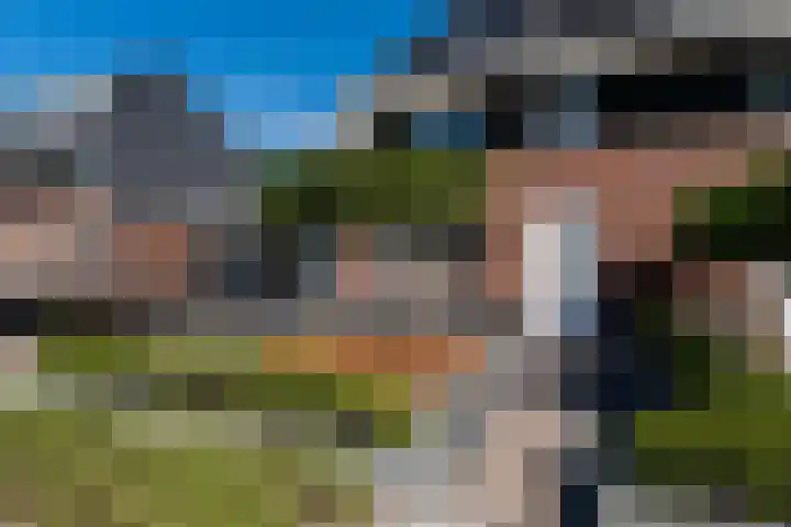 Over 't Set 8 St.-Annaparochie thumbnail 7