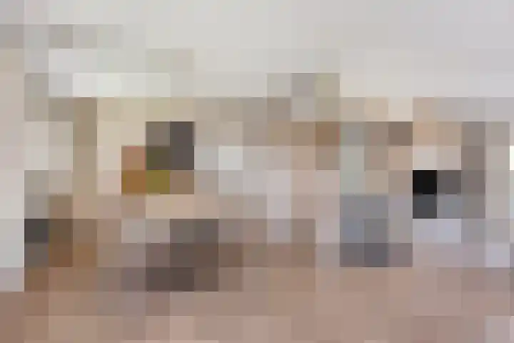 Overakker 11 Mierlo thumbnail 12