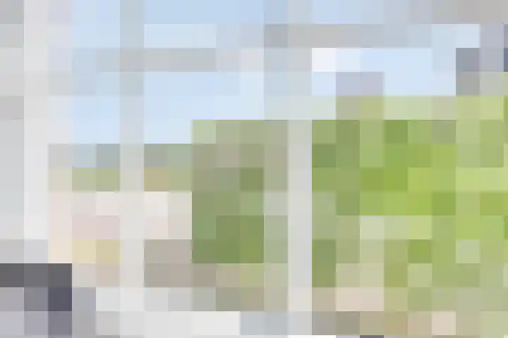 Overakker 11 Mierlo thumbnail 15