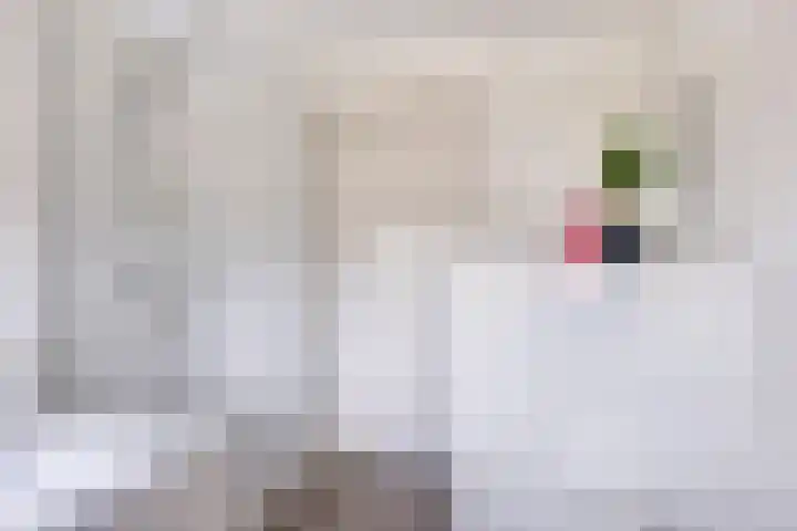 Overakker 11 Mierlo thumbnail 29