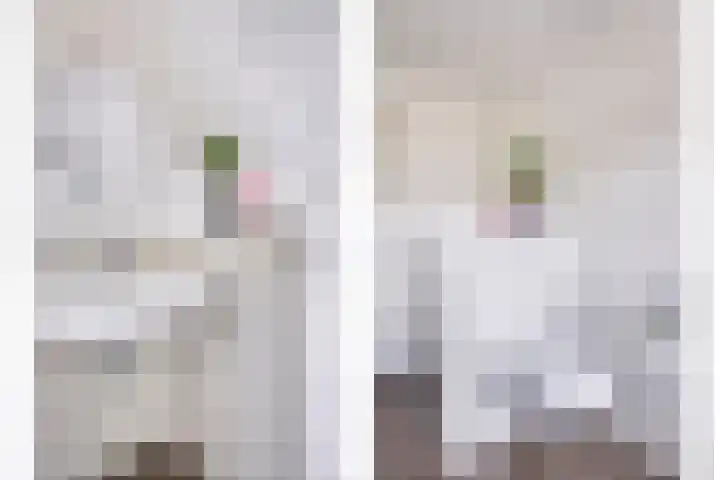 Overakker 11 Mierlo thumbnail 30
