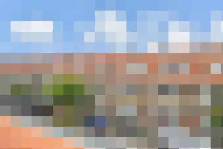 Overakker 11 Mierlo thumbnail 31