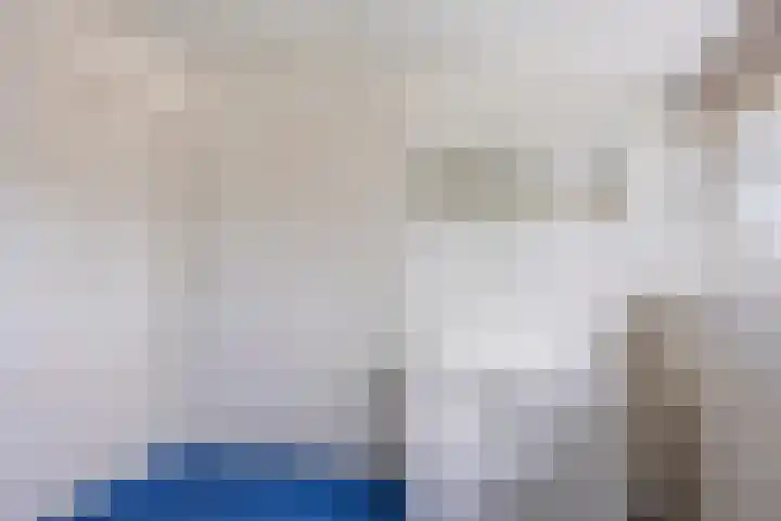 Overakker 11 Mierlo thumbnail 33