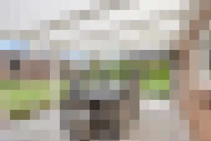 Overakker 11 Mierlo thumbnail 35