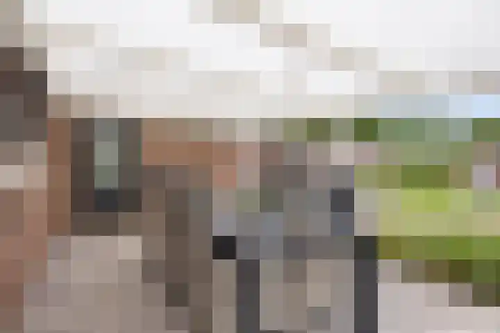 Overakker 11 Mierlo thumbnail 36