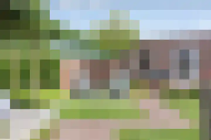 Overakker 11 Mierlo thumbnail 39