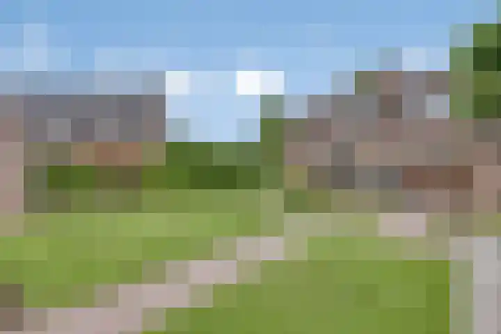 Overakker 11 Mierlo thumbnail 41