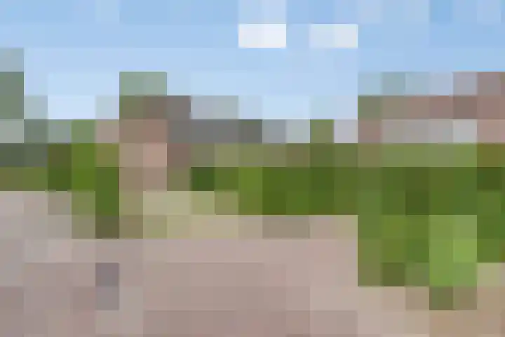 Overakker 11 Mierlo thumbnail 42