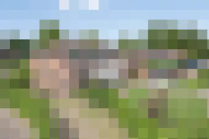 Overakker 11 Mierlo thumbnail 44