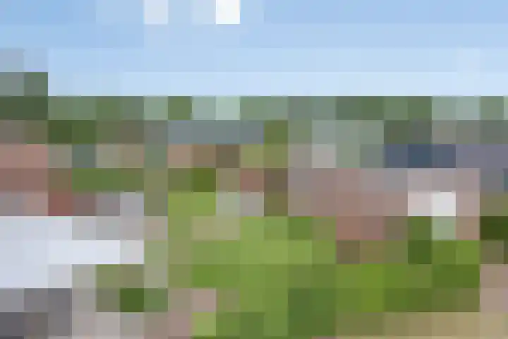 Overakker 11 Mierlo thumbnail 45