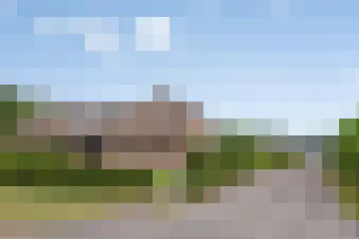 Overakker 11 Mierlo thumbnail 48
