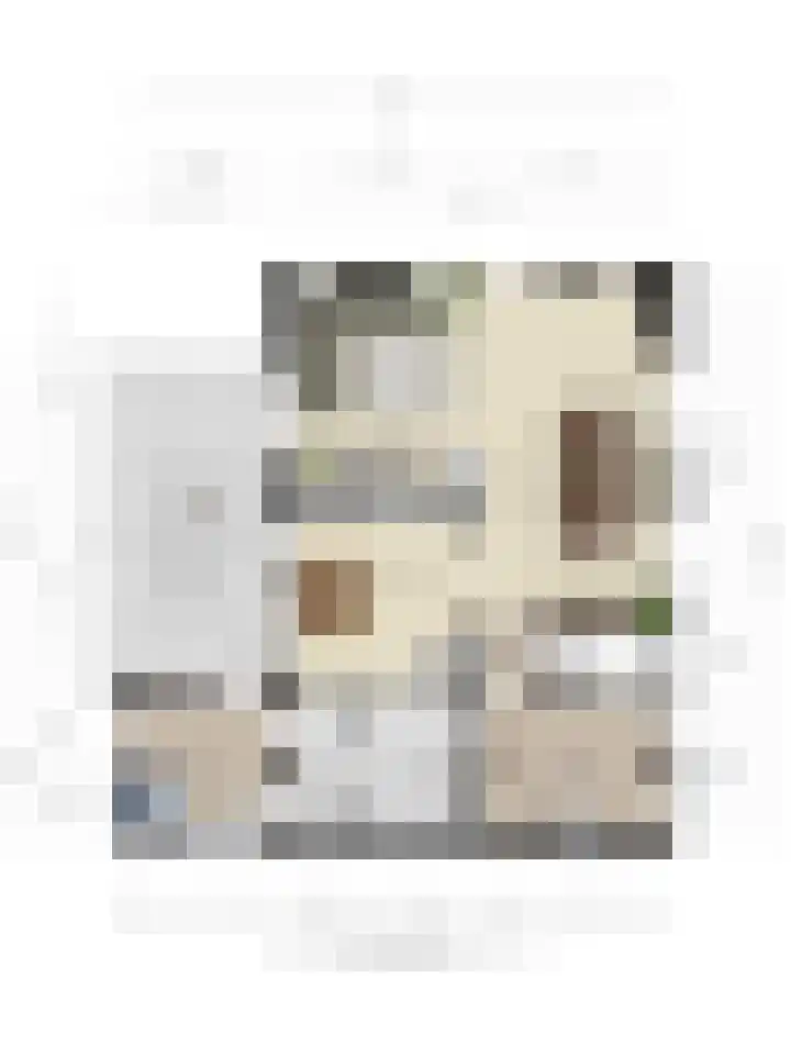 Overakker 11 Mierlo thumbnail 50