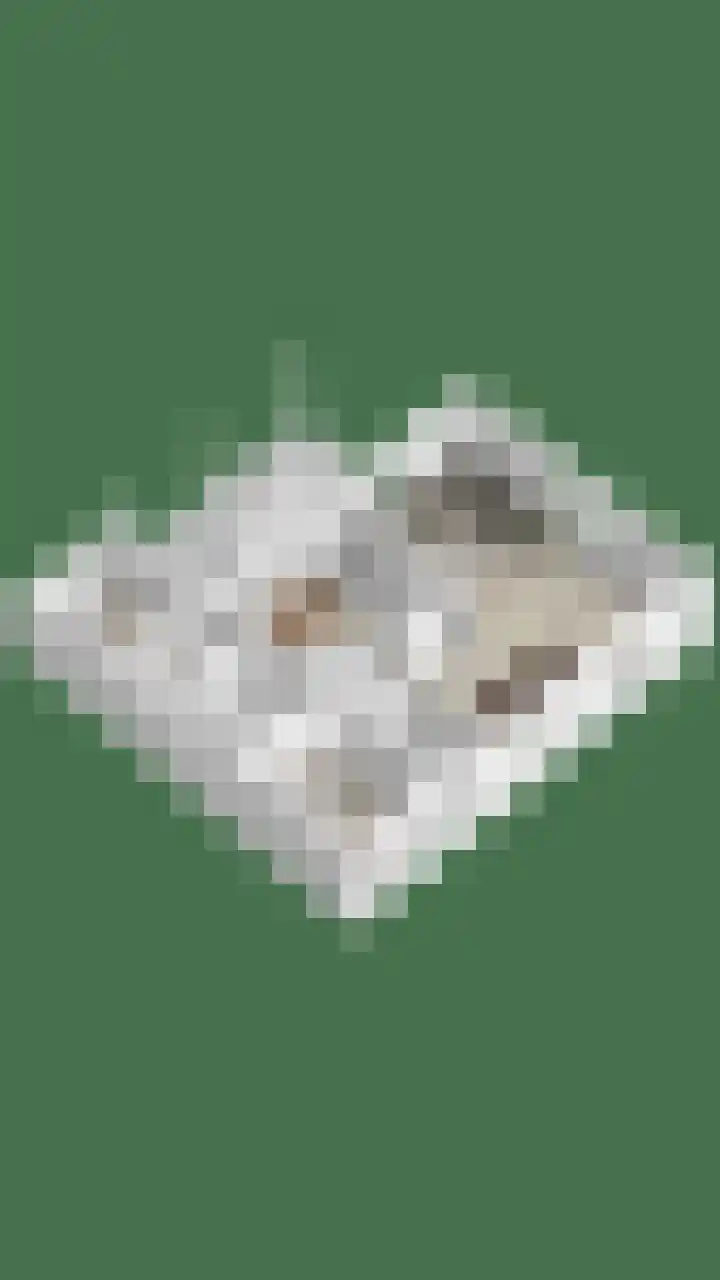 Overakker 11 Mierlo thumbnail 51