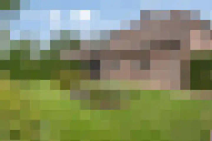 Overakker 11 Mierlo thumbnail 56