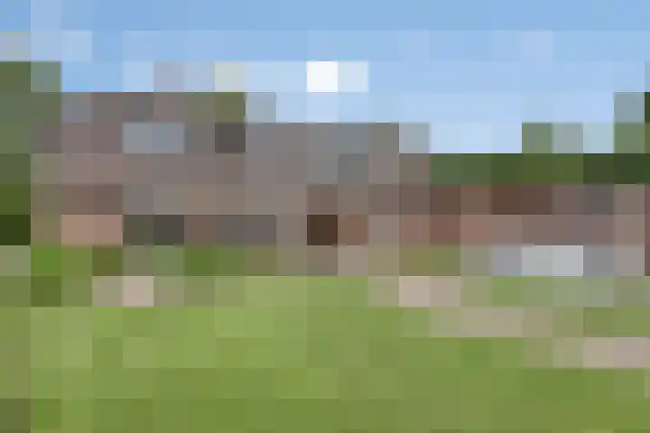 Overakker 11 Mierlo thumbnail 6